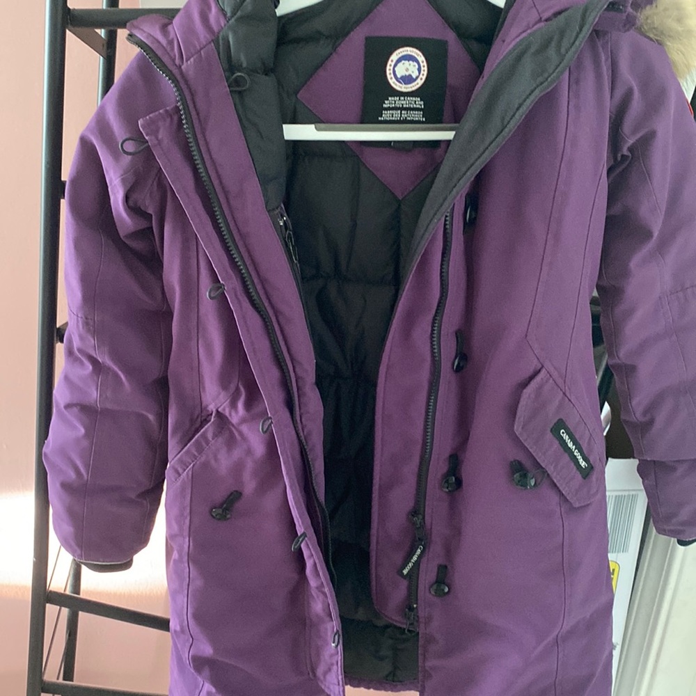 Purple Canada Goose